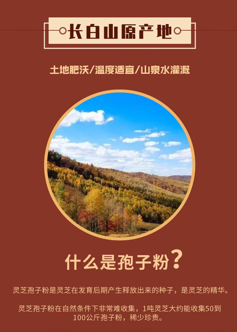 c974fbbd52bc47fd.jpg