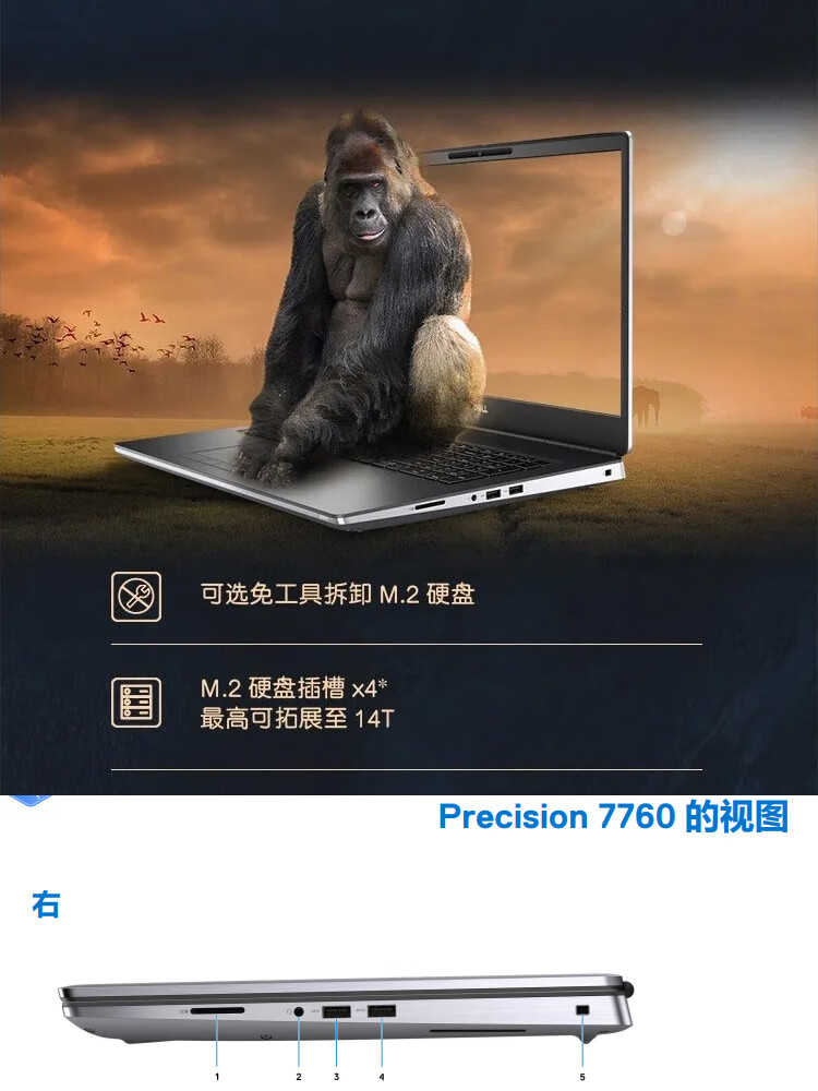f8ec1d4211d89509.jpg