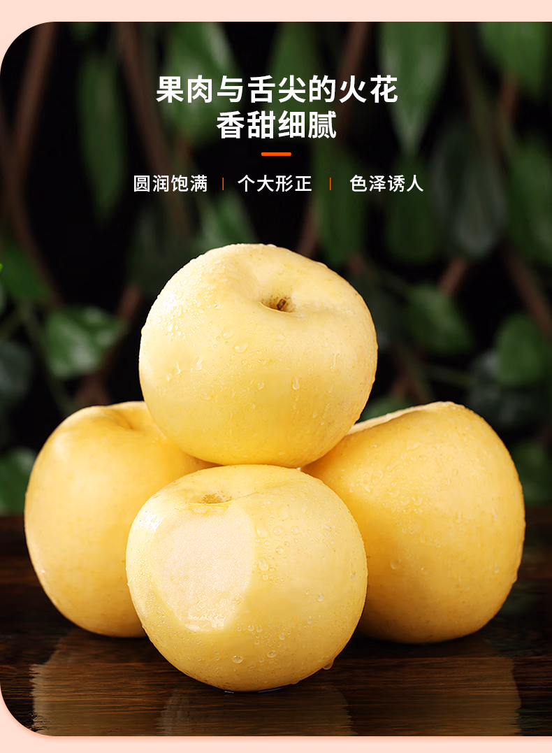 f43e11aa3bc62cd2.jpg.avif