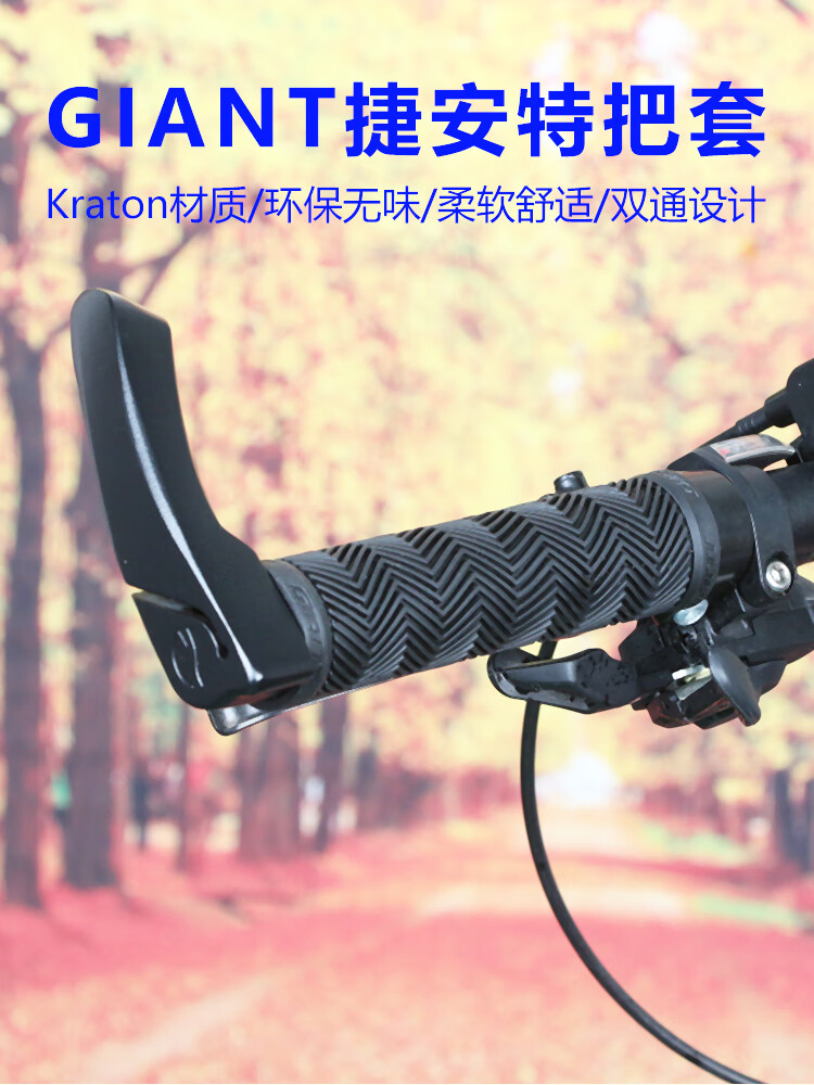 411a539da6d4dc12.jpg