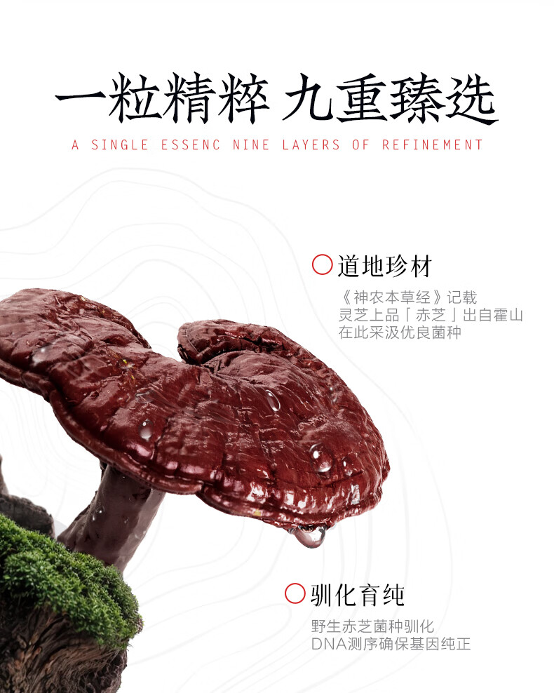 ed64d4a9cc71657e.jpg