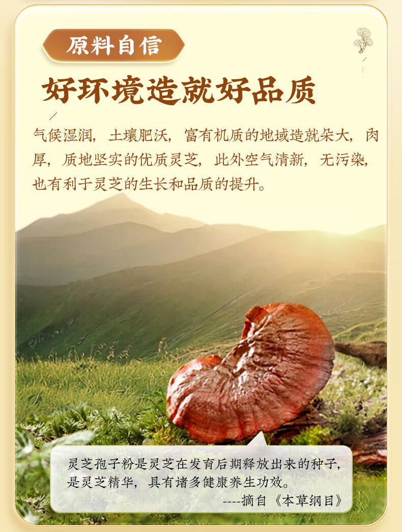 72747a6048cc3332.jpg