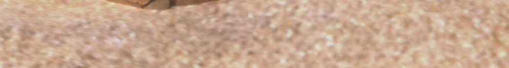 93ca2094cca148d3.jpg