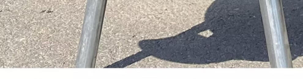 0f734139-a06e-425f-859d-7fd9ad0427f7.jpe