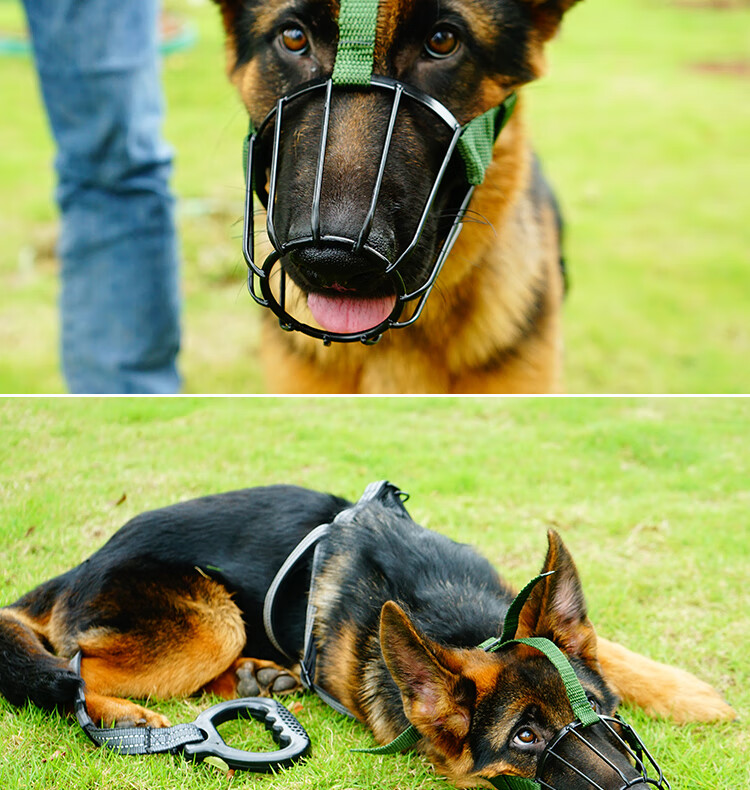 辉客映上防狗咬人嘴套狗狗嘴套狗口罩防趴狗嘴罩大中小型可吃饭宠物嘴