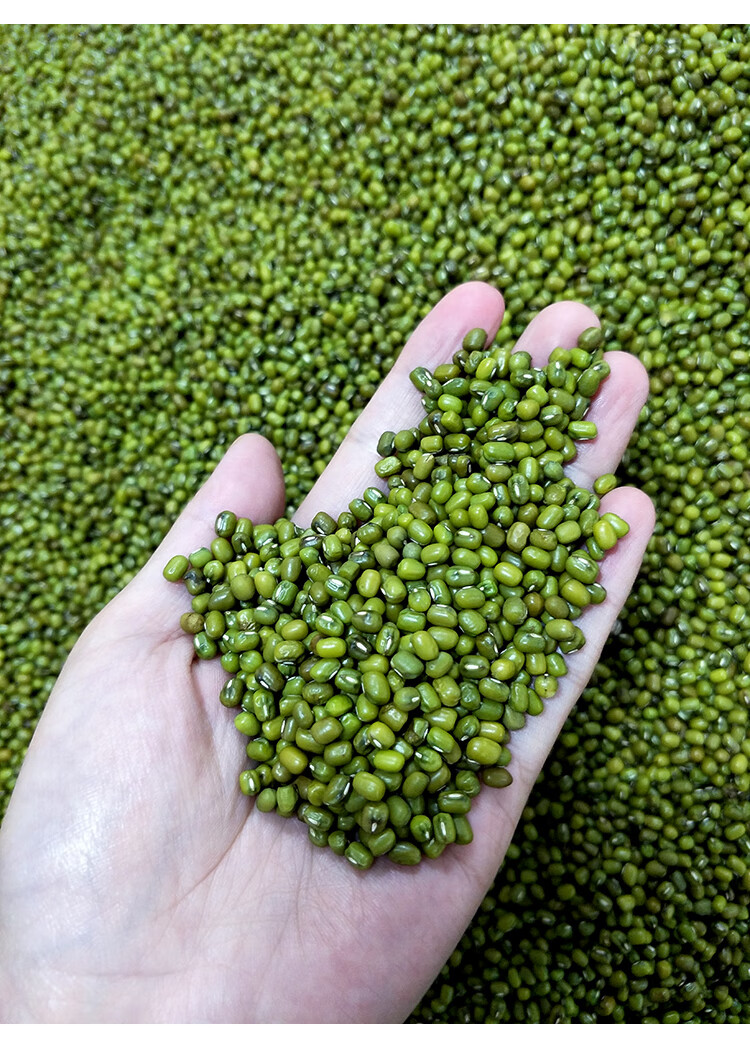 恩施豆皮3斤绿豆皮米粉来凤手工豆皮湿绿豆粉豆丝