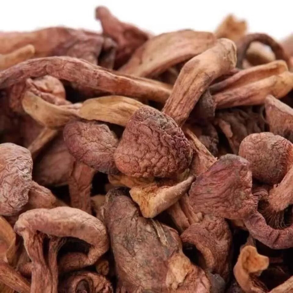 云舵自然晾晒红肉蘑菇松树伞肉蘑干野生菌* 半斤250