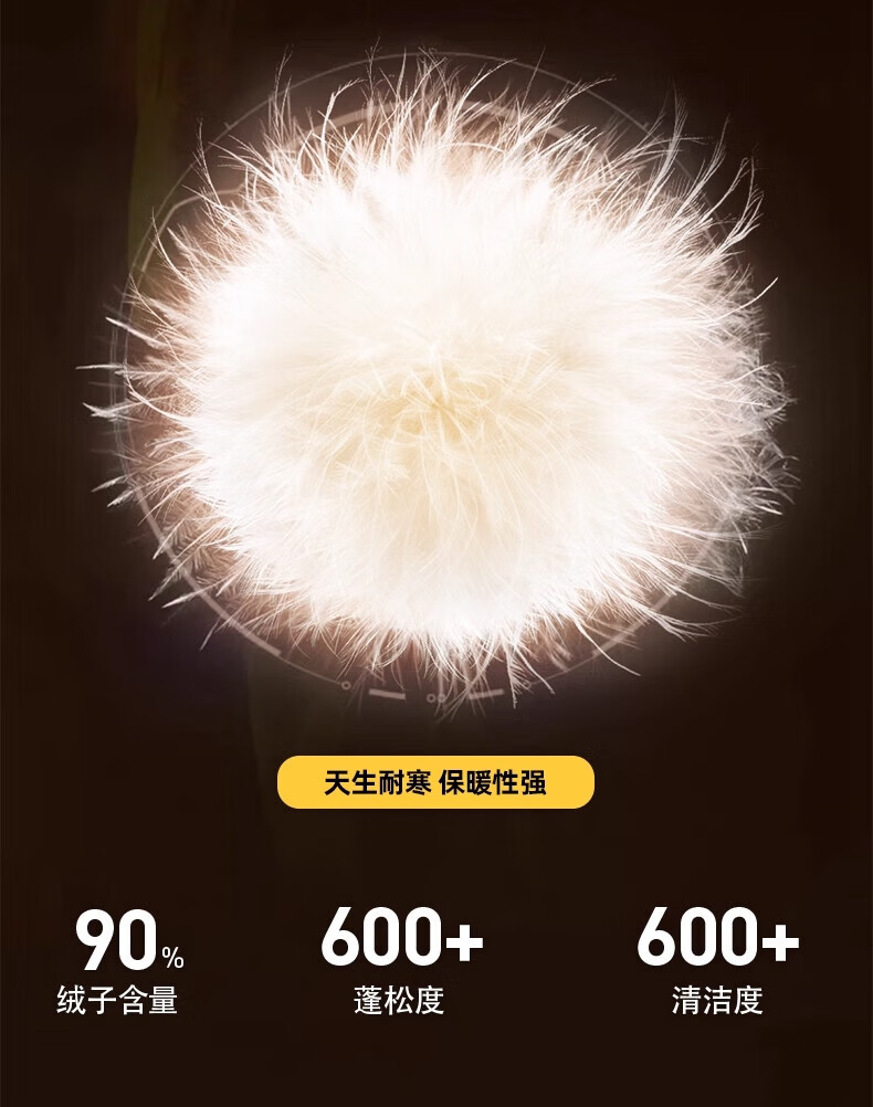 363bfa724f999350.jpg