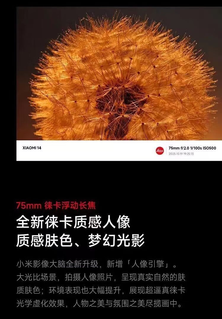 8ff65f2902cb193e.jpg' style=