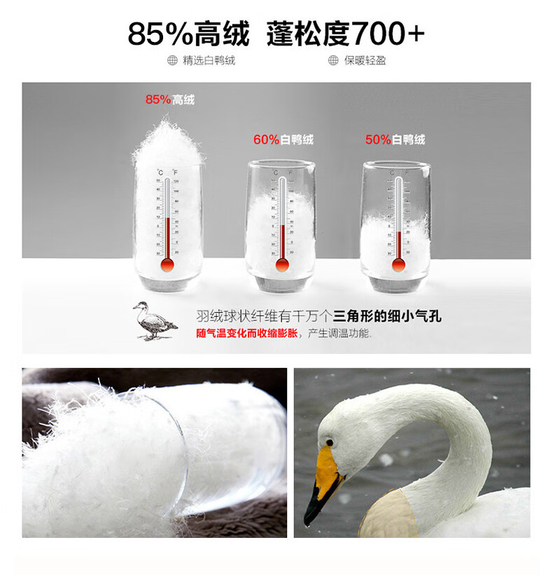 03d2ac290531ac5d.jpg