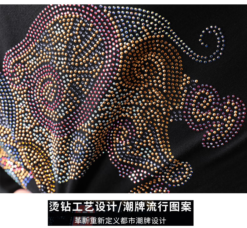 885c5fb6ffbc5d9a.jpg