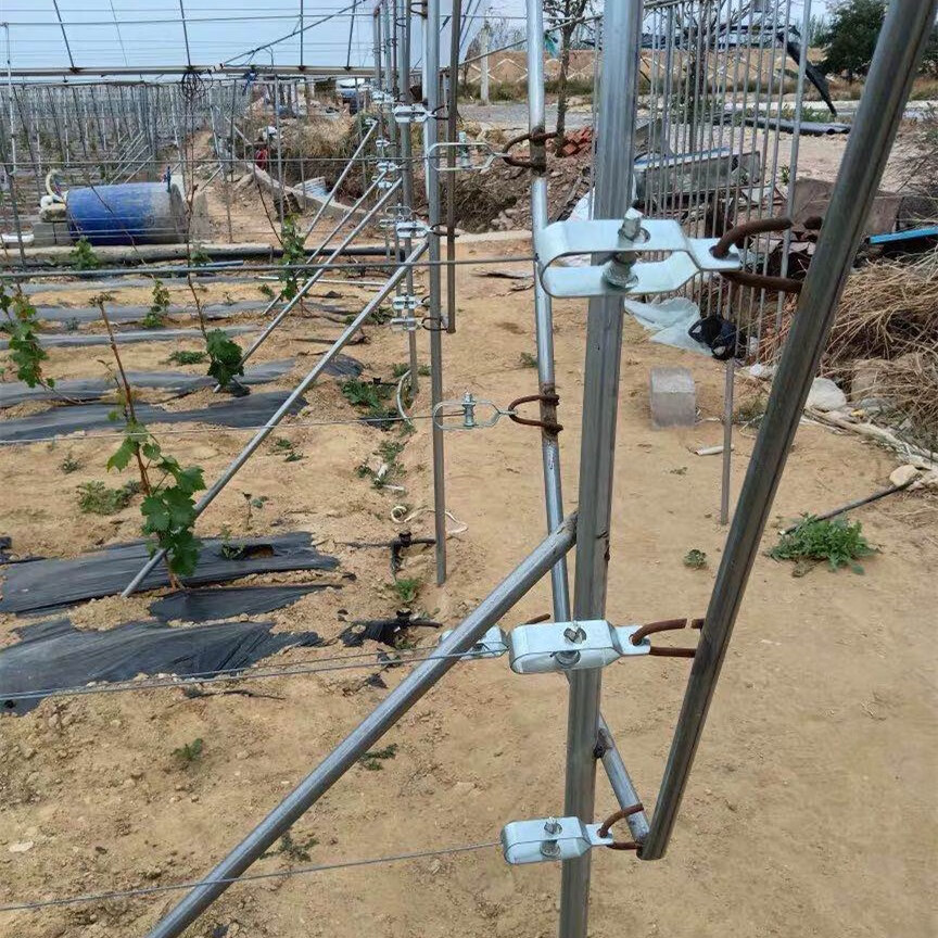 葡萄架紧线器托幕线拉直器猕猴桃钢丝绳收紧塑钢线紧绳器铁丝卡扣永德