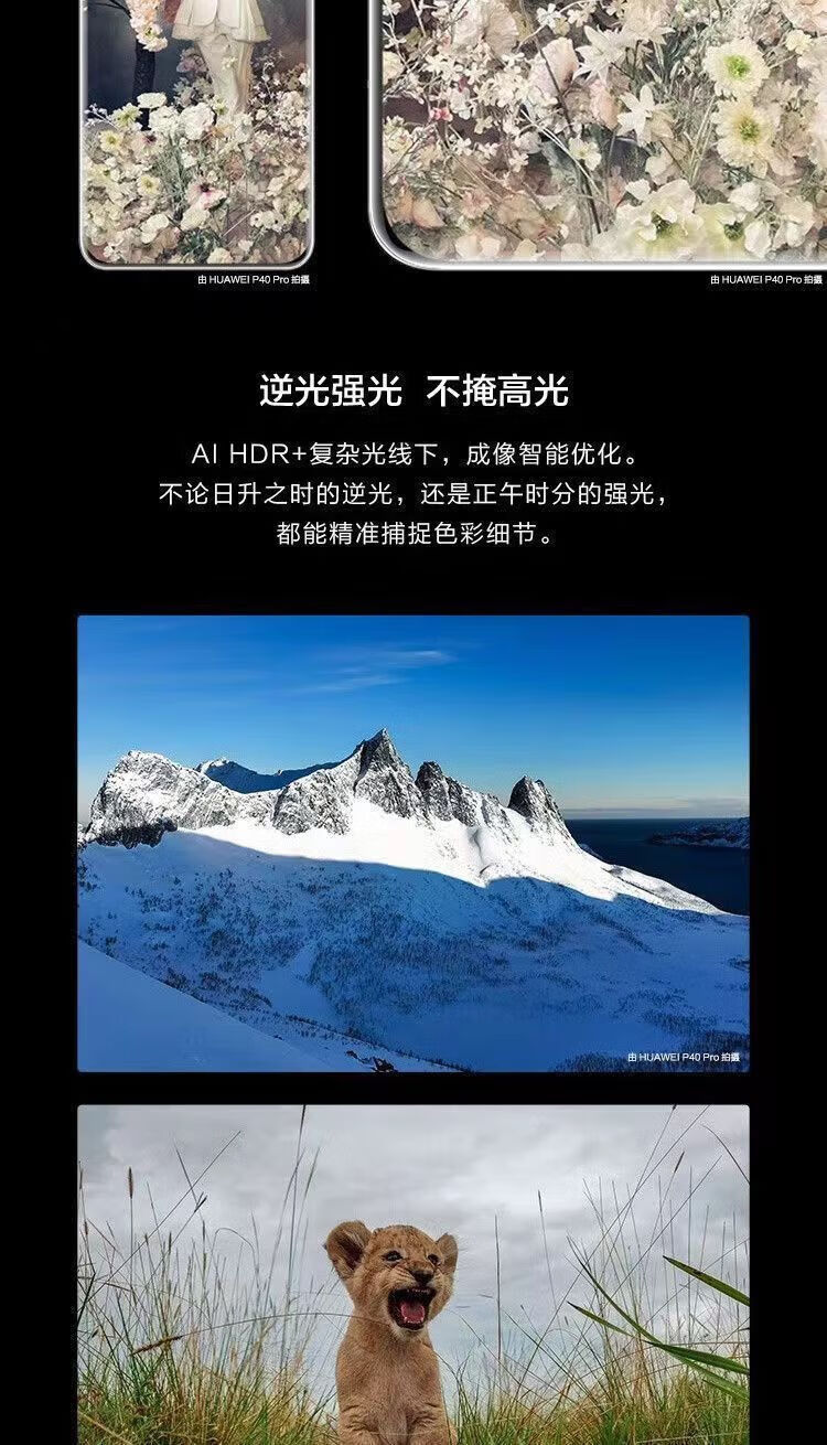 326109a0c58eaf2f.jpg' style=