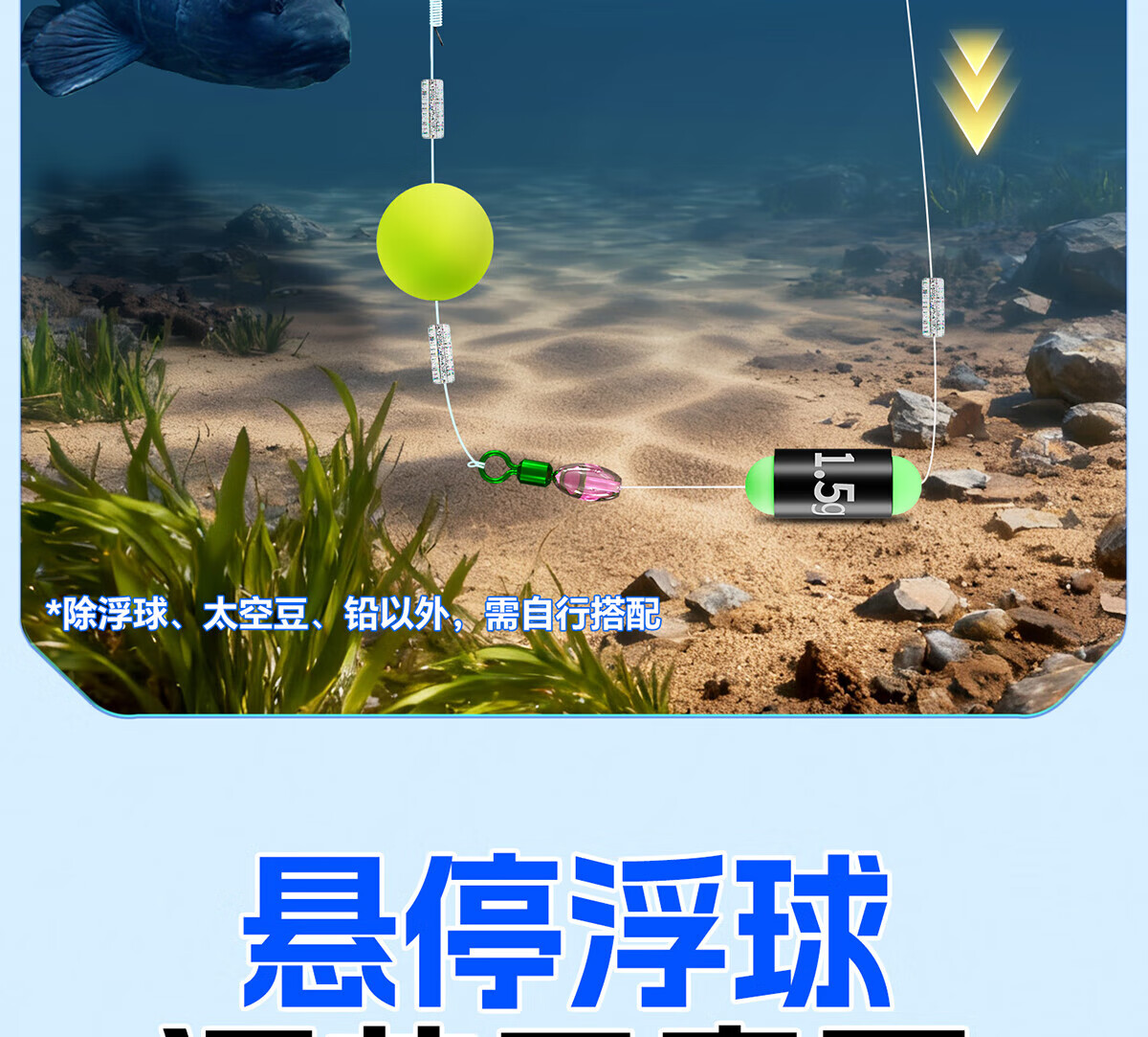c31e71200e8177bc.jpg