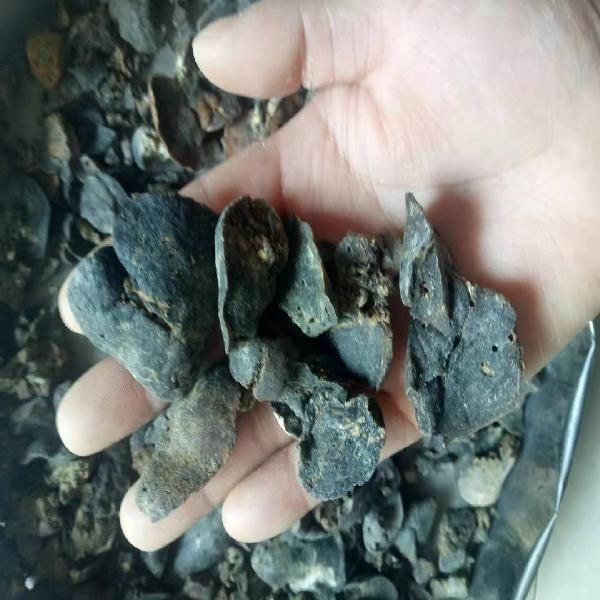 北京同仁堂原料官方北京同仁堂原料水獭肝正宗干品水獭肝獭肝可磨水獭