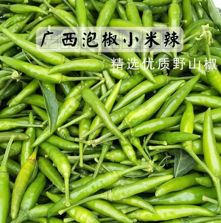 广西泡椒野生椒指天椒朝天椒小米辣超辣特辣椒腌制酱菜下饭菜瓶装