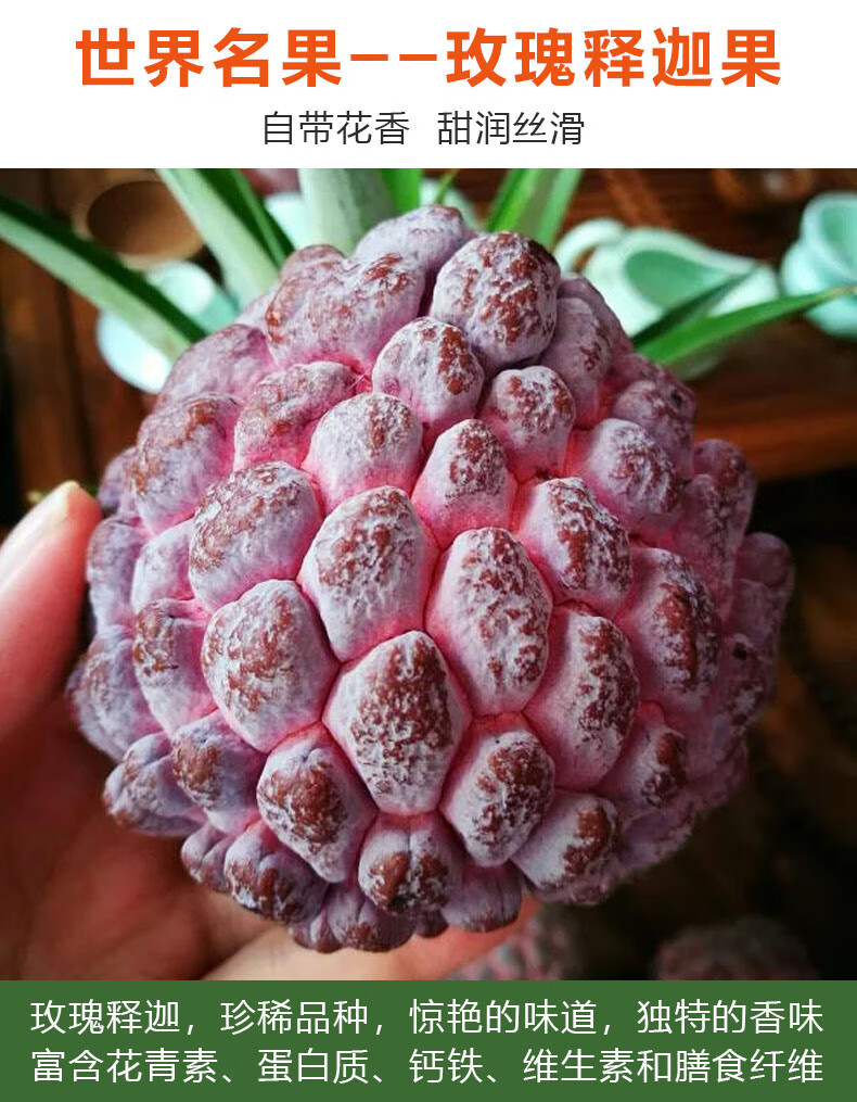 顺丰空运多地隔日达海南玫瑰释迦果水果新鲜牛奶红释迦摩尼果佛心果番