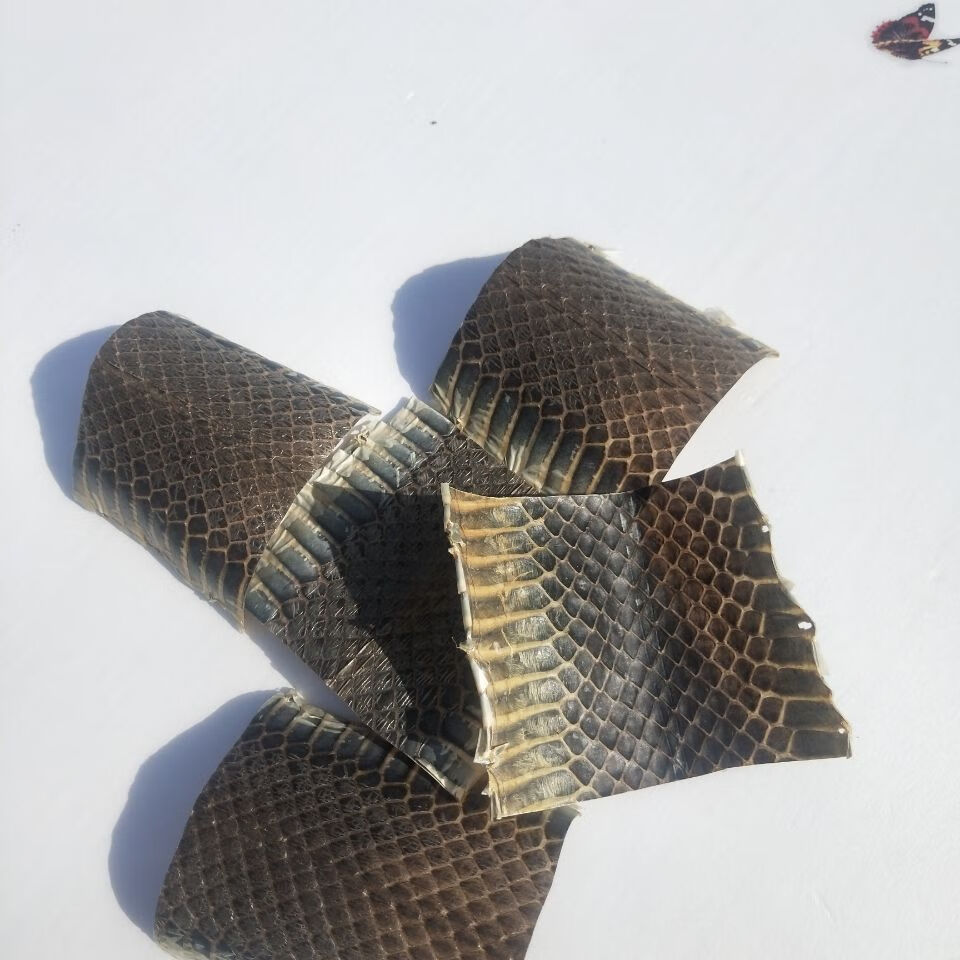 乐器配件乌稍皮中段单块蛇皮 京胡四胡蒙皮材料 京胡四胡胡琴配件 乌