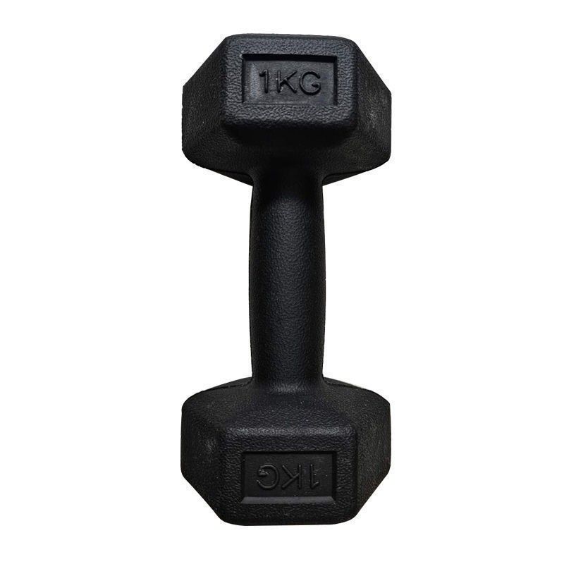 哑铃哑铃男士健身家用哑铃5kg10kg 一对学生哑铃健身女士健身运动器材