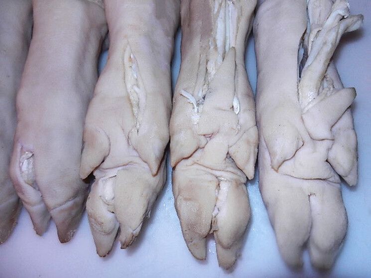 上海咸肉 盐腌咸猪脚500克咸猪脚爪咸猪手咸香软糯 500克*1份整个