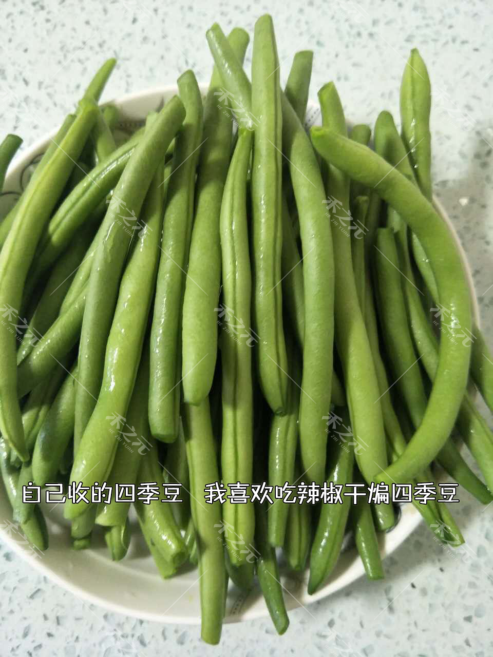 四季豆種子菜豆青早熟無架無筋豆角農家四季春夏秋冬蔬菜種籽孑 5斤超