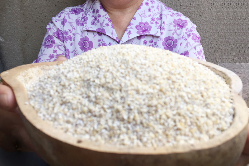 苏北特产盐城建湖大麦采子大麦糁大麦彩子五谷杂粮大麦采5斤