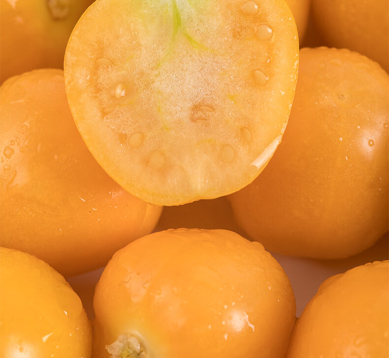 【顺丰】东北姑娘果新鲜黑龙江黄金豆奶香菇娘果灯笼果礼盒装 6斤