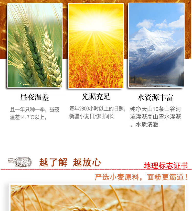 3f157335da25a531.jpg