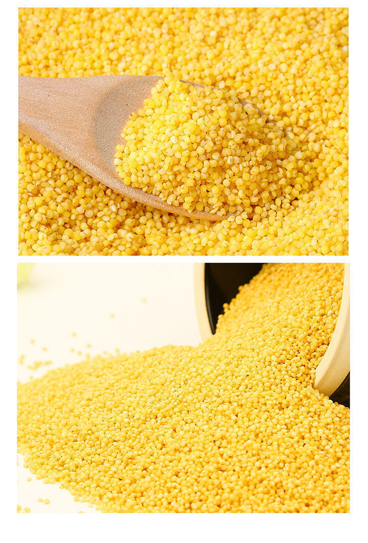 赤峰新黄小米名月子米小米煮粥小米小黄米真空 高品质赤峰金苗小米