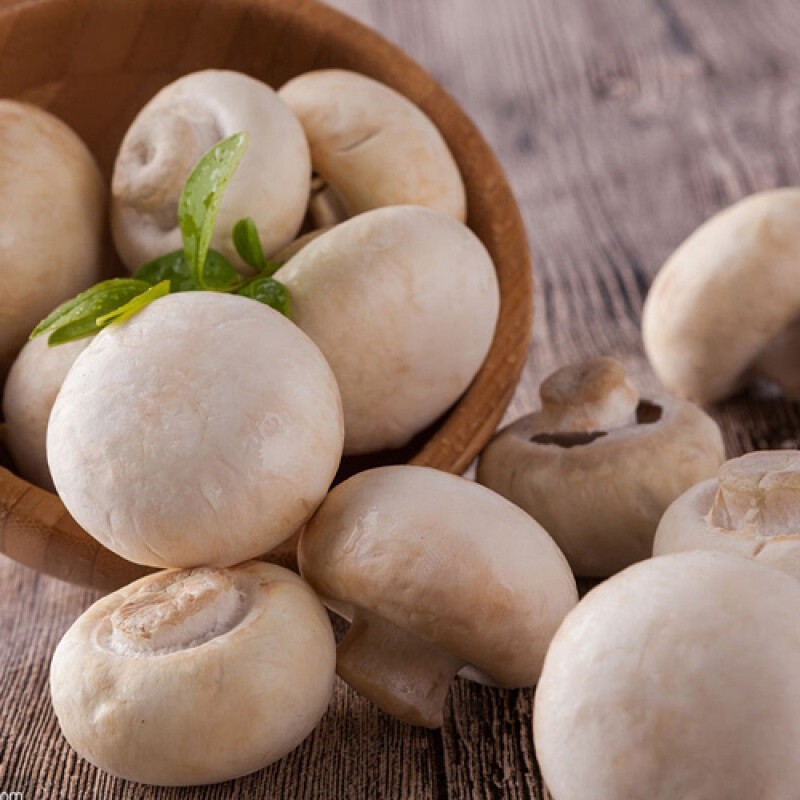 口蘑新鲜白蘑菇双孢菇蔬菜生鲜3斤