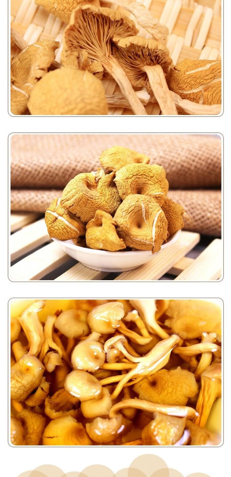 东北特产榆黄蘑干货鸡油菌菇黄丝菌金侧耳金玉皇蘑菇 250g【图片 价格