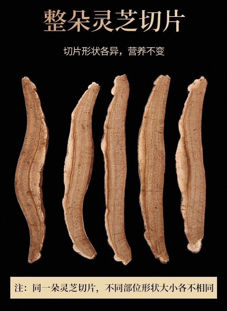 【官方旗舰】 斗龙芝西藏斗龙芝切片龙斗芝之赤灵