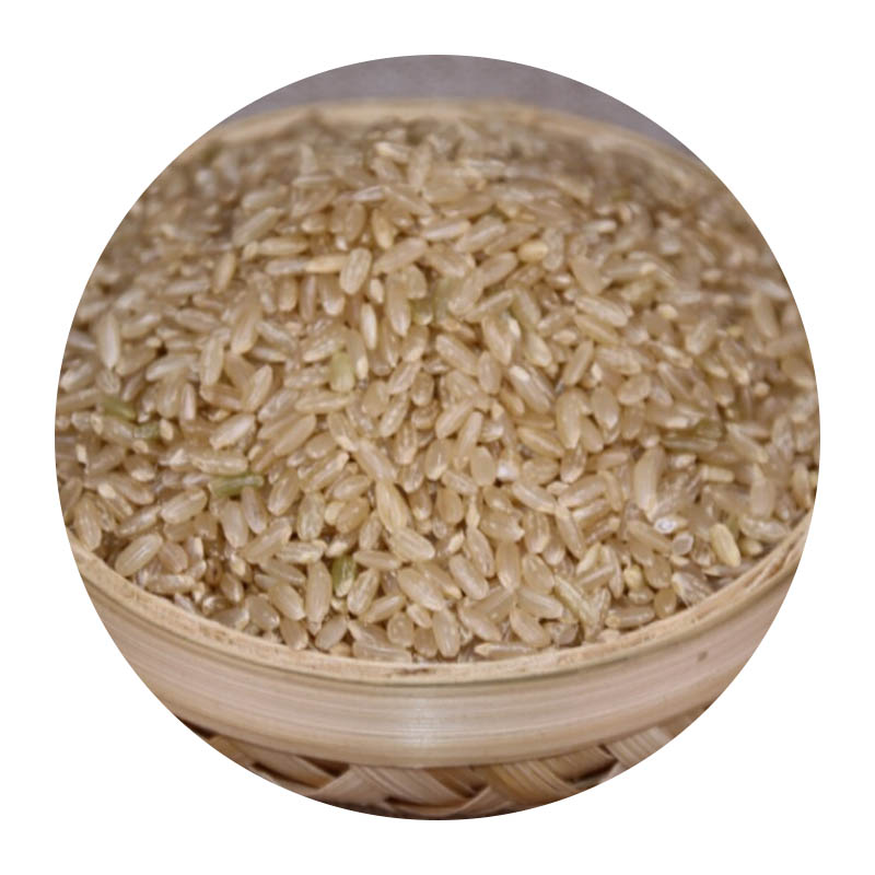 稻花香糙米东北五常糙米糙大米玄米农家胚芽米可发芽新米红米500g*5