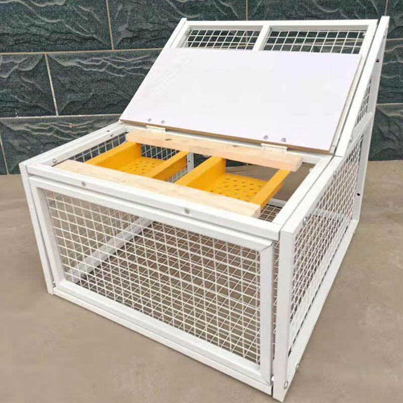 【京东推荐】只进不出加密活络门鸽子跳笼信鸽赛鸽用品用具鸽棚鸽舍只