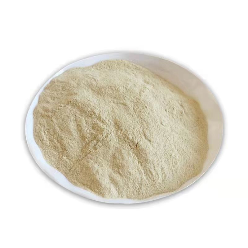 小麦低聚肽 小分子活性肽 500g 食品级蛋白肽粉 固体饮料高含量好吸收