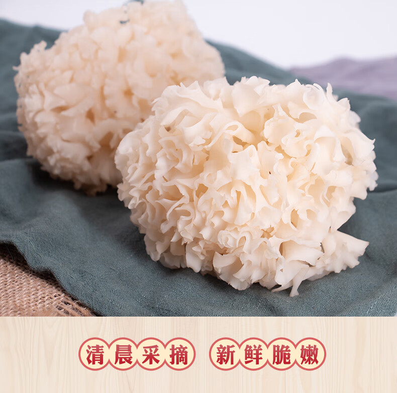 新鲜绣球菌花瓣菇新鲜菌菇绣球菇非干货绣球花1kg煲汤料新鲜绣球菌1kg
