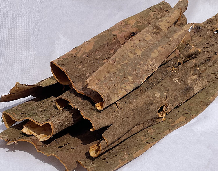 红豆杉树皮 250g 干货含紫1杉醇赤柏松南方红豆杉树皮树根叶果实
