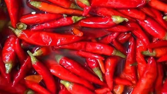 重庆特产四川正宗泡椒红小米辣农家辣椒泡酸辣椒泡朝天椒16斤