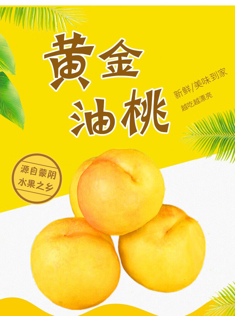 山东蒙阴新鲜黄金油桃 黄油桃 蜜桃桃子 新鲜水果 黄油桃5斤精选果(4.