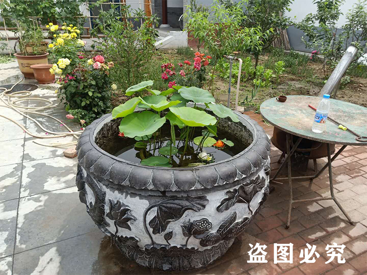 俊阳石雕鱼缸装饰青石花盆庭院石缸石头水缸荷花鱼圆缸仿古大石盆石槽