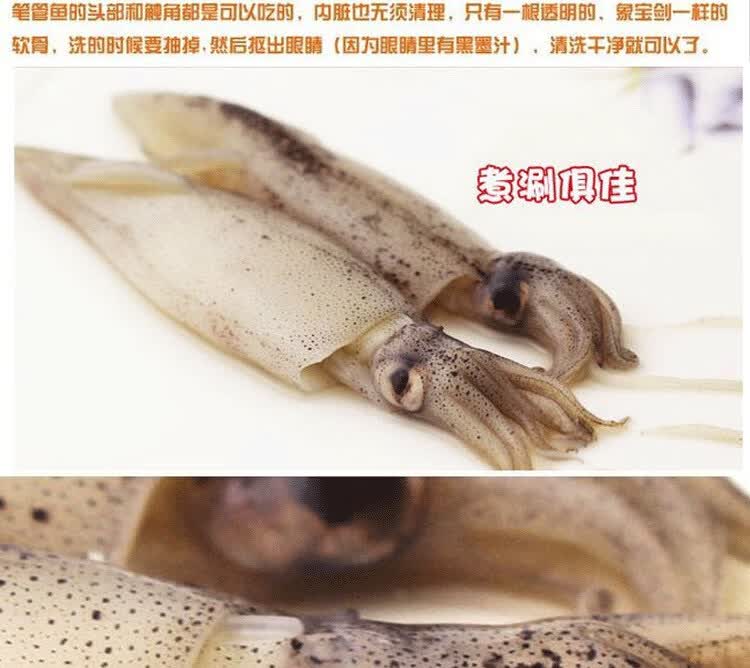 新鲜海兔鲜活海兔子笔管鱼带籽小海兔子海鲜籽乌半斤2斤可选二三王牛1