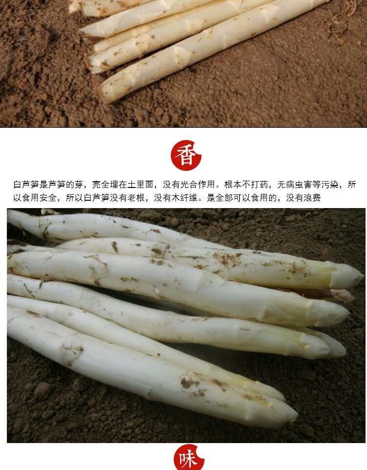 顺丰速运山东白芦笋新鲜蔬菜芦笋酒店西餐火锅食材特菜时令现挖现发粗