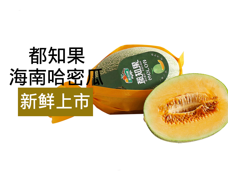 顺丰速运都知果海南哈密瓜大果新鲜水果蜜瓜西州蜜网纹瓜精选大果单颗