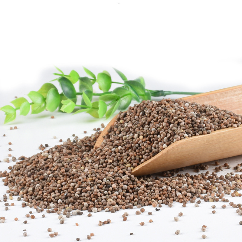 紫苏子500g黑苏子生紫苏籽大苏子