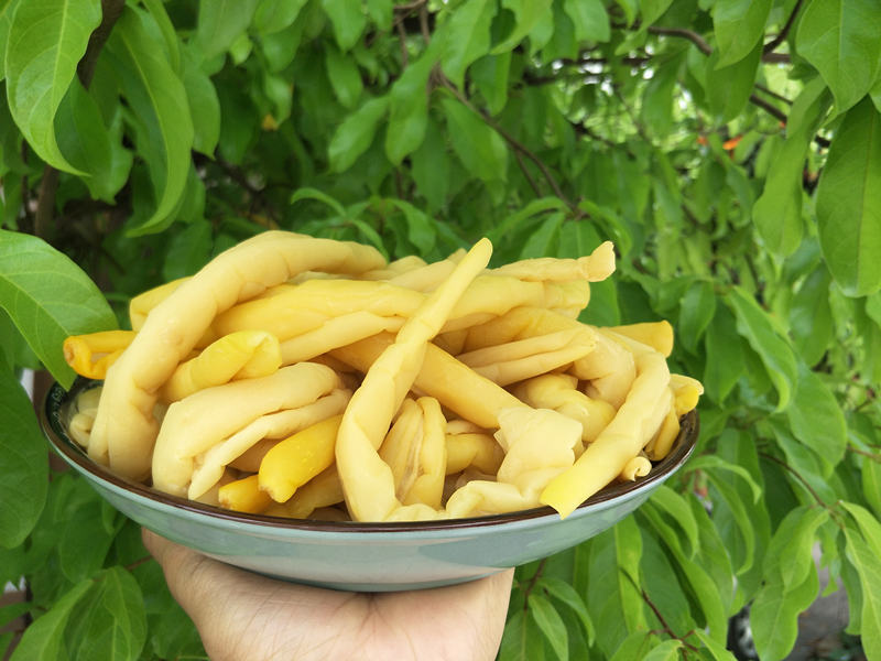 广西黄瓜皮博白农家手工腌制咸菜脆黄瓜皮下饭菜咸菜非钦州黄瓜皮1斤