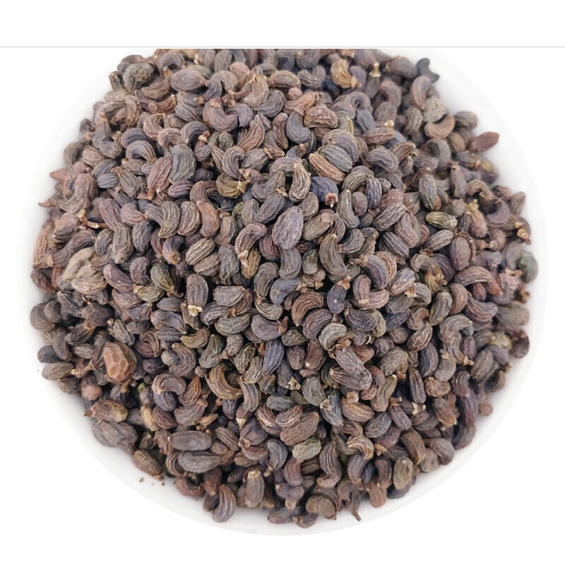 女贞子中药原材料女贞子茶男野生女贞子中药原材料店铺四神汤泡酒药材