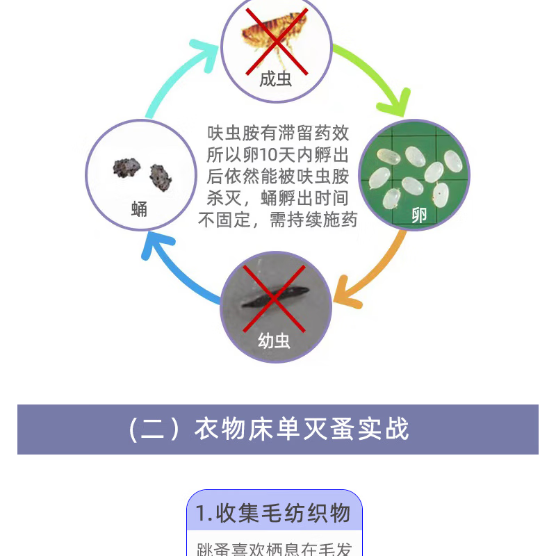 呋虫胺40%呋虫咹颗粒跳蚤药家用臭虫蚂蚁蟑螂药家用杀虫药 10g【图片