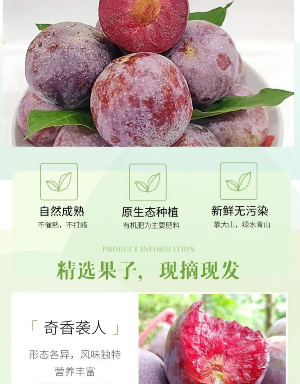 正宗钱排三华李子新鲜现货信宜红心李双华李酸甜李大果孕妇水果顺丰