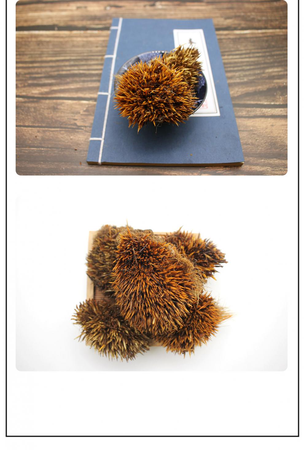 刺猬皮 50g 中药材 刺猬皮无硫仙人衣猬皮干货刺 猬皮干货刺【图片