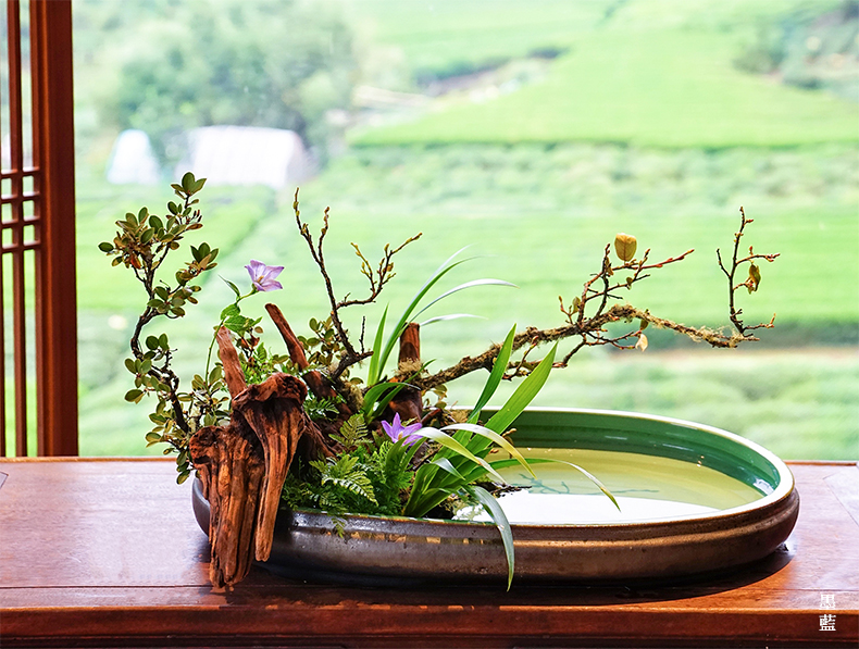 枯木根摆件 自然风化沉木枯木树根木雕杜鹃木插花微景观鱼缸造景木头